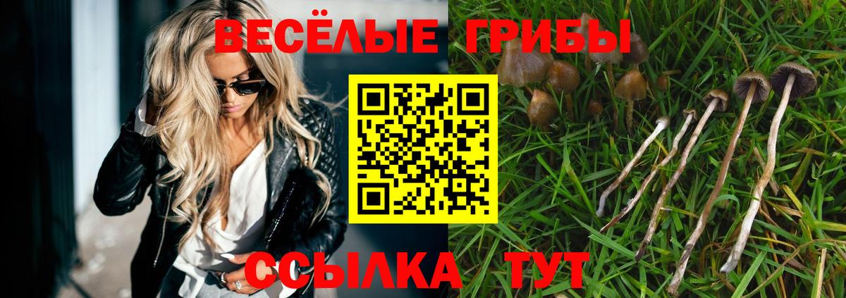 Псилоцибиновые грибы GOLDEN TEACHER Киреевск