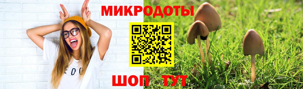 Галлюциногенные грибы ЛСД  Вход с VPN  Псилоцибиновые грибы Magic Shrooms  Киреевск 